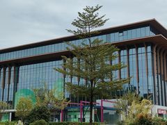 -三友乌鱼菜馆(金洲北路店)