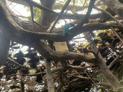-长鹿旅游休博园