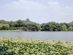 -西湖游船