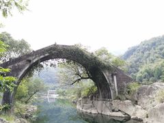 -鹿亭中村
