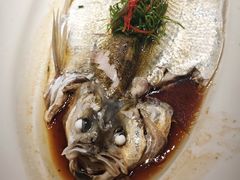 -湯記傳菜