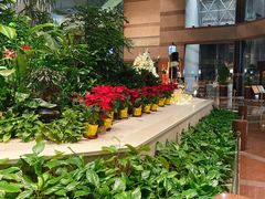 -上海新锦江大酒店