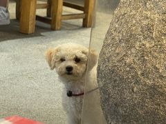 -可可大虾武汉土菜大排档(万松园1店)