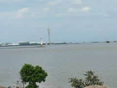 -上海滨江森林公园