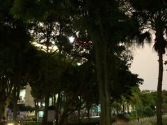 -南宁南湖公园