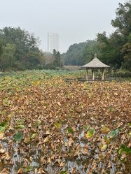 -玄武湖景区-情侣园游乐场