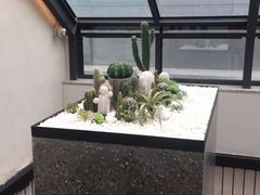 -大树餐厅(红旗街万达店)