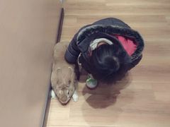 -藦茜花园宠物主题亲子互动体验馆(国顺东路店)