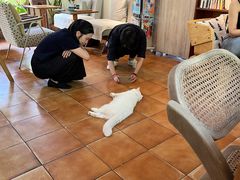 -彳亍咖啡·这里(水湾路店)