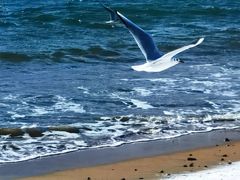 -青岛第一海水浴场