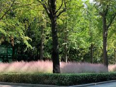 -苏州河梦清园环保主题公园