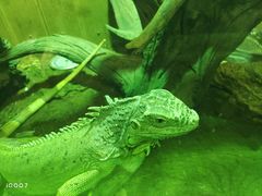 -杭州野生动物世界