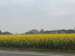 -中国天府农业博览园