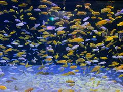 -成都浩海立方海洋公园