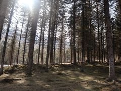 -硗碛藏寨·神木垒景区