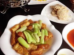-云中小雅