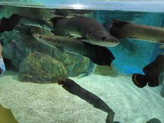 -福州罗源湾海洋世界旅游区