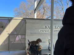 -轻井泽王子购物广场