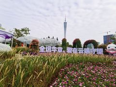 -海心沙亚运公园