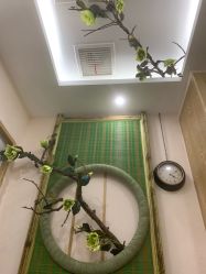 -芳朵美容养生SPA