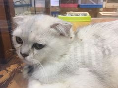 -龟与熊猫宠物公园(南坪店)