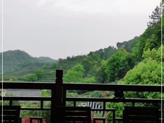 -十八棵（老龙井）御茶园(老龙井店)
