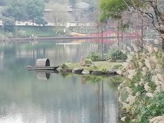 -重庆彩云湖湿地公园