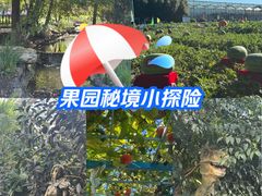 -长春农业博览园