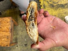 -肖为民麻糕(双桂坊店)