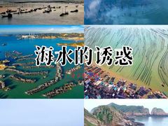 -北岐滩涂