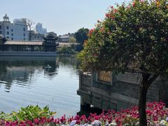 -荔湾湖公园