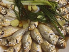野生小黄鱼-江南村海鲜馆(洞头店)