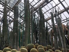 -南山植物园