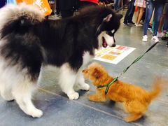 -东浩兰生上海世博展览馆