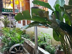 -大理董·董家小厨野生菌火锅(古城旗舰店)