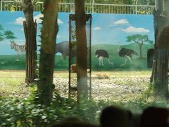 -秦皇岛野生动物园
