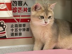 -御宝贝24h宠物医院·转诊中心·CT核磁血透中心(厦门总院)