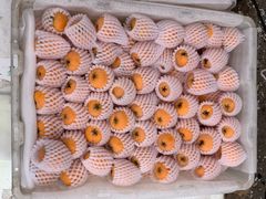 -菜园坝水果市场