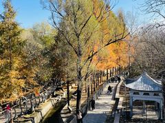 -白水寺森林公园