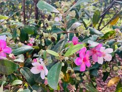 -侯臣咖啡文化村