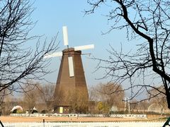 -漩门湾国家湿地公园