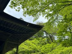 -三千院