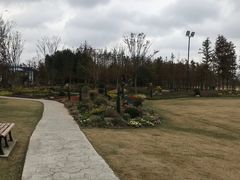 -上海长兴岛郊野公园