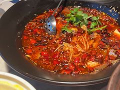 -雀蓝川菜(奥体广场店)