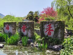 -香雪海