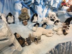 -济州岛泰迪熊博物馆