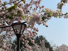 -元大都城垣遗址公园