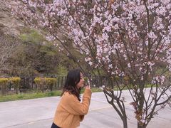 -少华山国家森林公园