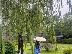 -陶祖圣境风景区