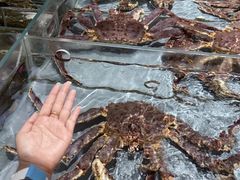 -巨鹏飞梦幻海岸